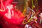 event images 10101/ab5a407b5d50818a21a5599932aef47b.jpg