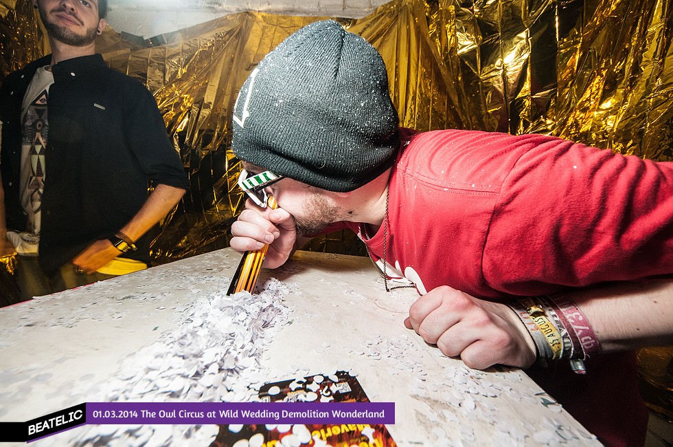 The Owl Circus at Wild Wedding Demolition Wonderland