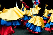Go to image 8 for event Karneval der Kulturen