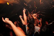 Go to image 259 for event The Bloody Beetroots