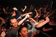 Go to image 240 for event The Bloody Beetroots