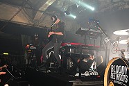 Go to image 279 for event The Bloody Beetroots