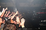Go to image 287 for event The Bloody Beetroots