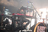 Go to image 274 for event The Bloody Beetroots